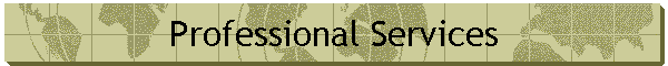 Professional Services