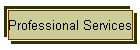 Professional Services
