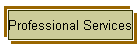 Professional Services