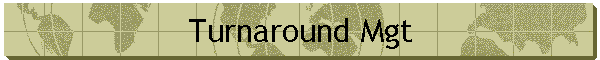 Turnaround Mgt